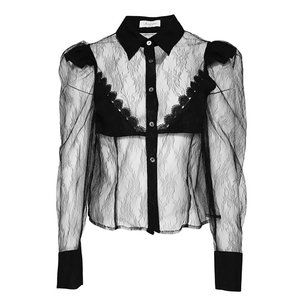 Amy Lynn fantastic top